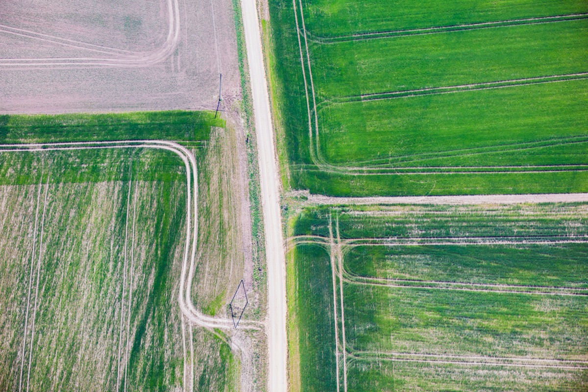 Land Management