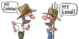 Land Conflicts; Causes and Solutions Land Conflicts