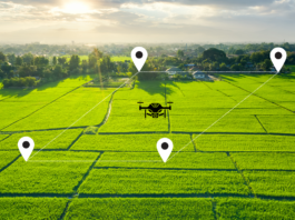 Harnessing AI to Transform Land Management and Real Estate in Ghana